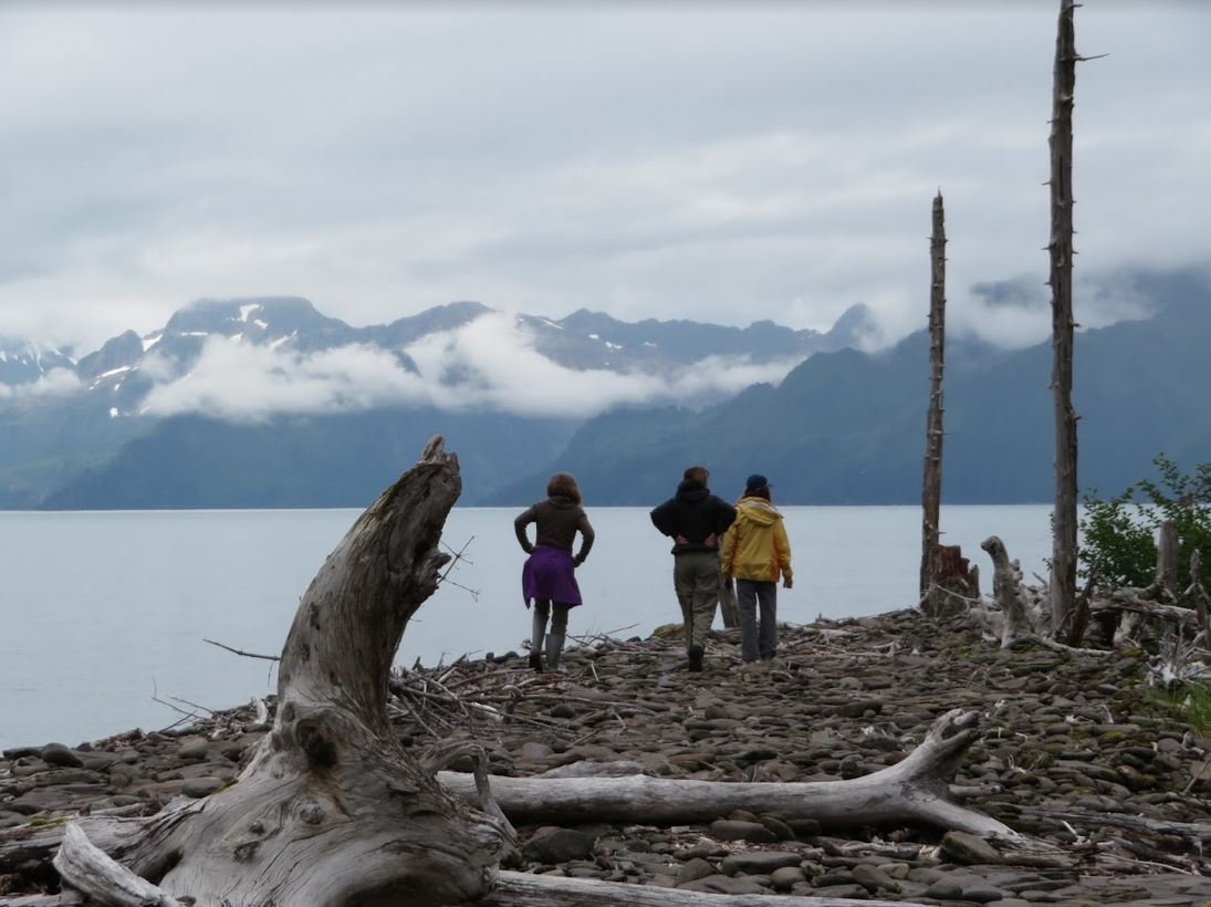 north pacific passage cruise